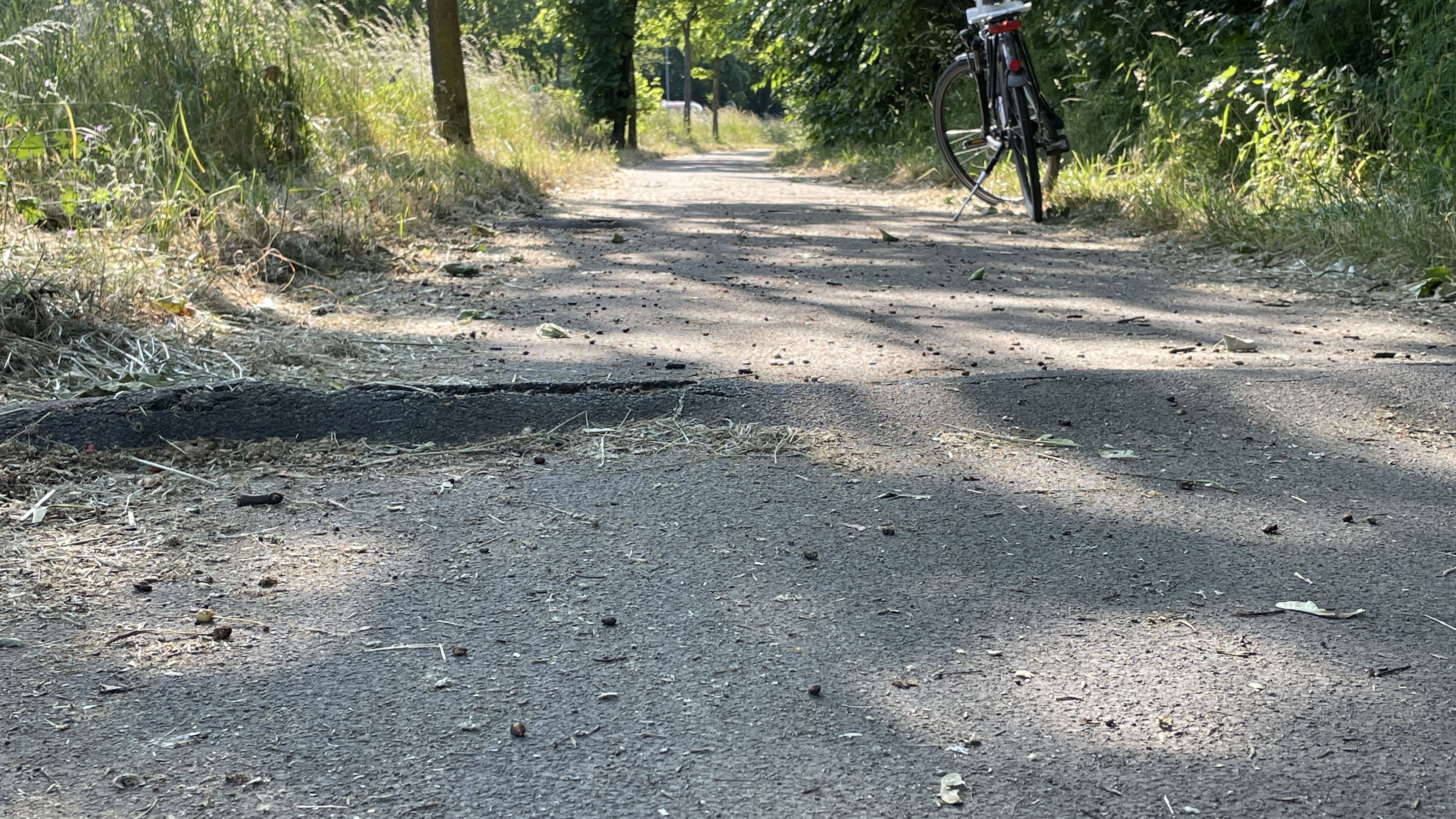 Aktuell weist der Radweg entlang der Mettmanner Straße erhebliche Wurzelschäden auf | © CDU-Fraktion Ratingen
